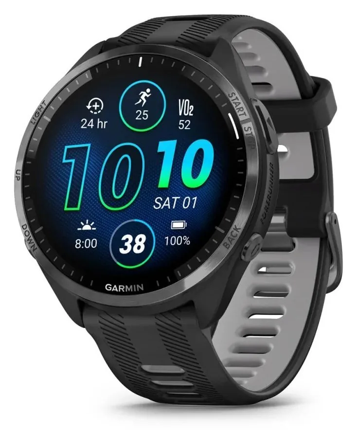 Garmin RALLY