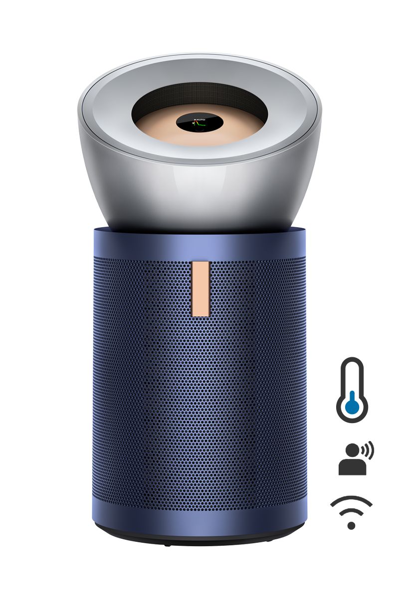 Dyson BP03 Prussian