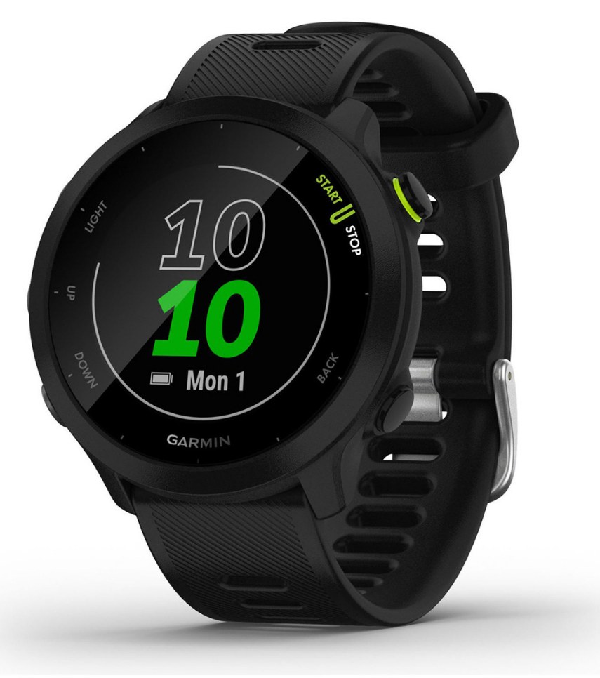 Garmin Forerunner 55 (42mm)