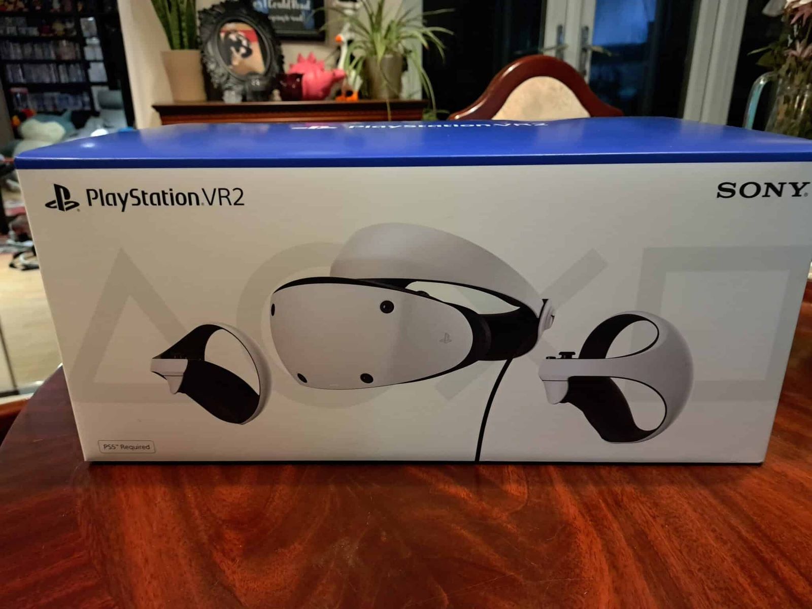 PS5 VR2